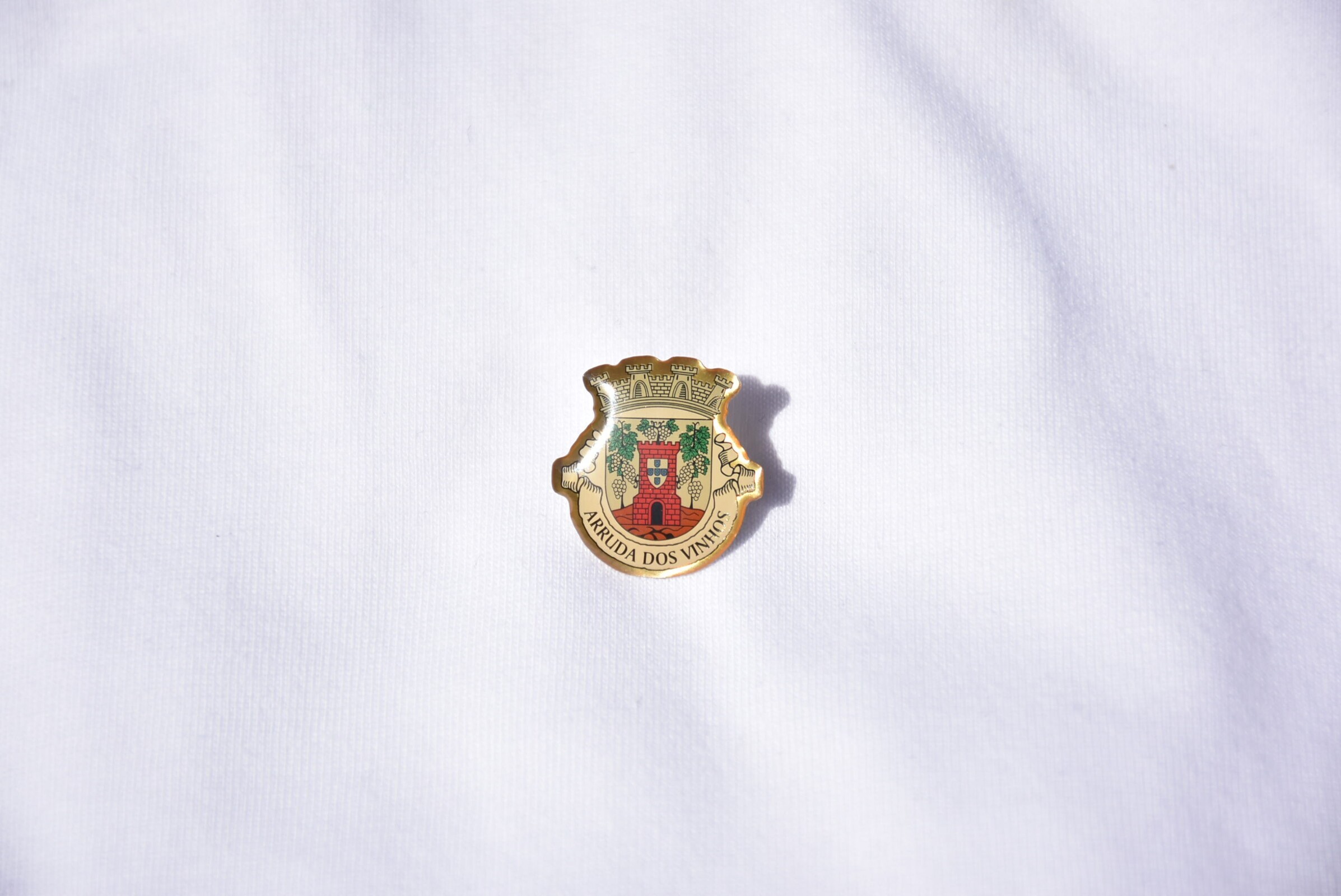 Pin - Município de Arruda dos Vinhos