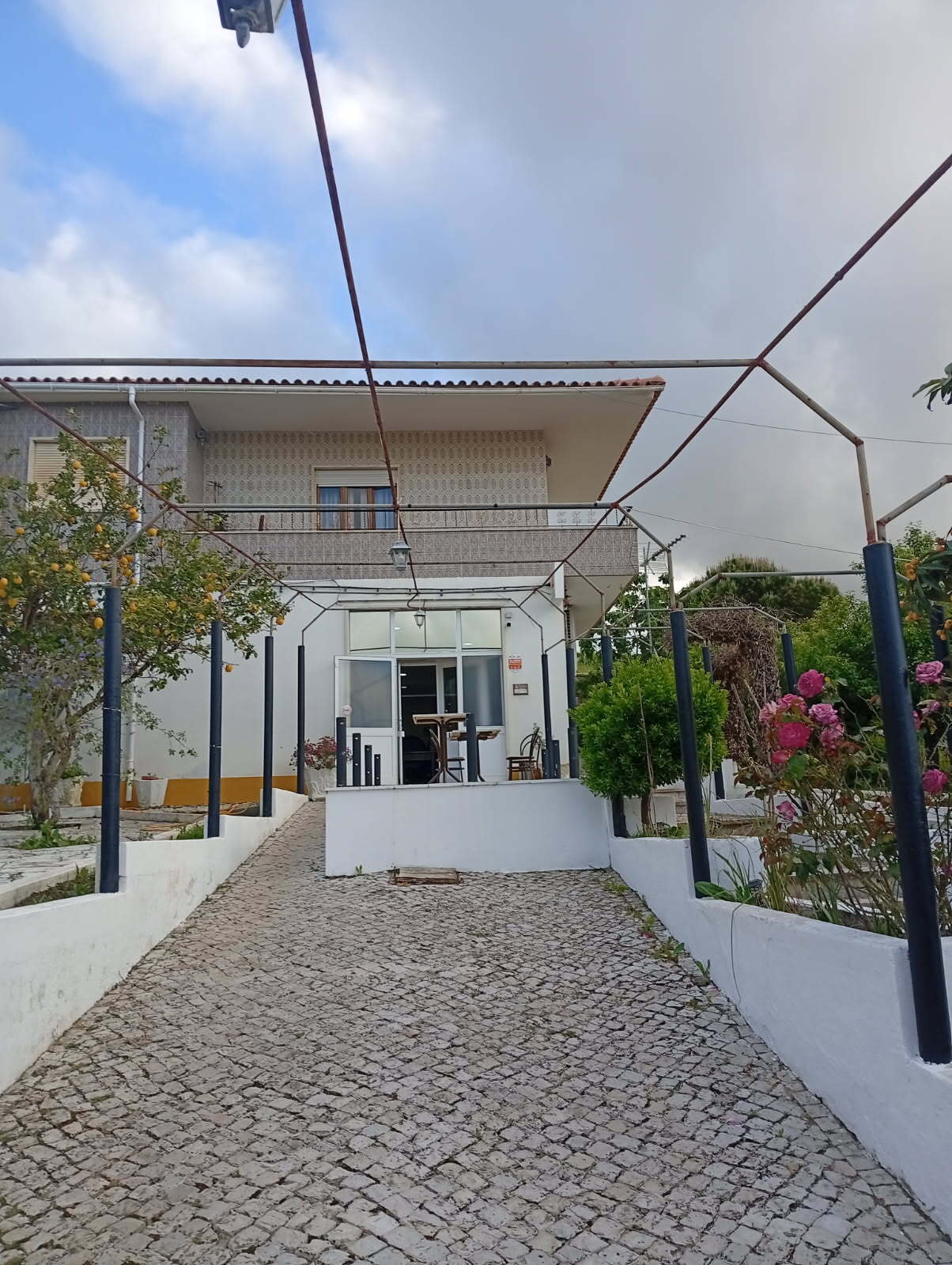 O Galo do Carrasqueiro